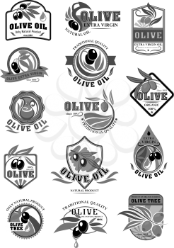 Olive oil product vector icons templates for bottles and jars. Isolated set of Italian olives symbols for extra virgin cooking or salad oil. Black or green olive branches for natural organic oil label