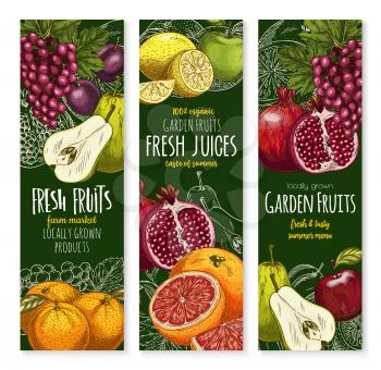 Fruits banners for fresh organic product or fruit farm market. Vector set of exotic pineapple, mango or papaya and farm garden apple, watermelon or melon and avocado, apricot or pear garden harvest