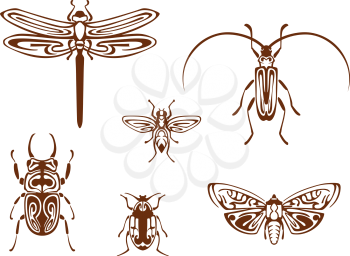 Insects in tribal ornamental style for tattoo design. Dragonfly, butterfly, bee, bug and grasshopper