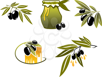 Olive oil and branchs for organic or bio food design
