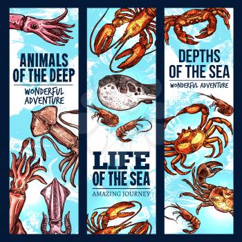 Seafood sketch banner set of deep sea fish and animal. Crab, lobster, shrimp or prawn, squid and fugu fish swimming in blue water for fishing sport trip, fish market and zoo aquarium flyer design