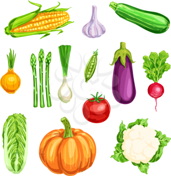 Vegetable watercolor icon of organic farm product. Fresh tomato, onion and cabbage, garlic, radish and zucchini, eggplant, pea, corn and pumpkin, asparagus and cauliflower hand drawn veggies design