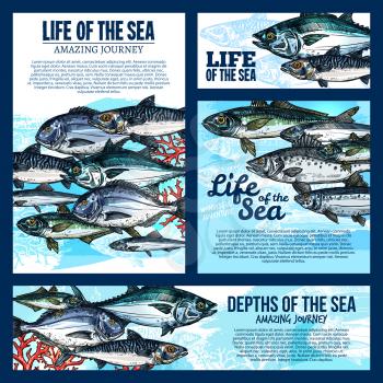 Sea life banner template with deep water fish and ocean animal sketch. Salmon, tuna and mackerel, carp, perch and dorado, herring and sprat fish shoal poster for seafood menu or fishing tour design
