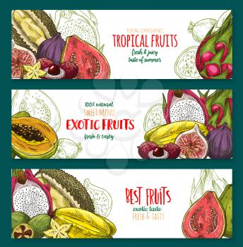 Exotic fruit sketch banner of tropical berry. Vector papaya, carambola, feijoa, passion fruit, durian, dragon fruit or pitaya, lychee, fig and guava poster for exotic fruity juice, dessert menu design