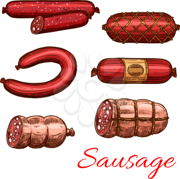 Sausage sketch set of beef and pork meat product. Salami, barbecue frankfurter, ham, bologna with bacon, smoked wurst, pepperoni, grilled bratwurst vector icon for butcher shop, meat store design