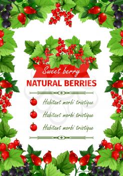 Berry sweet fruit, natural food banner template. Currant branches with red and black berry, forest wild briar with green leaf, arranged into frame for fruit store poster or juice menu design