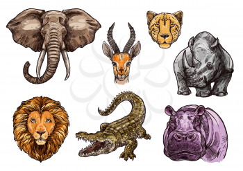 Animal sketch set of african mammal. Elephant, lion, hippo, crocodile or alligator, rhino, cheetah or jaguar, gazelle or antelope isolated vector icon for safari trip, hunting sport or nature design