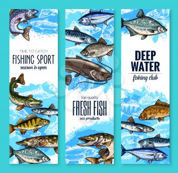 Fresh fish banner set for seafood product or fishing club flyer template. Sea and river fish sketches of salmon, tuna, trout, perch, pike, carp, mackerel, catfish, herring and sprat vector design