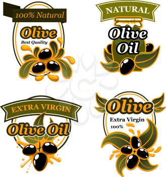 Olive oil label and badge set with black olive fruit and oil splash. Olive tree branch with ripe fruit and green leaf emblem, decorated by oil drop and ribbon banner for natural organic food design
