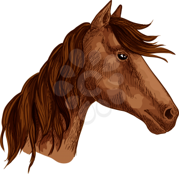 Horse or racehorse animal head with waving mane. Brown mustang muzzle of wild or domestic stallion or mare for equine sport or equestrian races contest or team mascot. Vector isolated sketch icon
