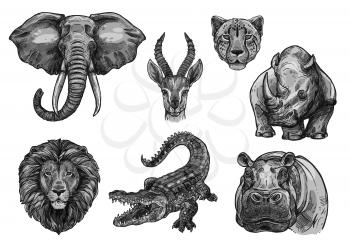 Wild African animals sketch icons. Vector isolated set of elephant tusk, antelope or gazelle and cheetah panther, savanna lion or tiger and alligator crocodile with hippopotamus or rhinoceros for zoo