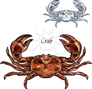 Crab or lobster sketch. Vector isolated icon of sea or ocean crayfish crustaceans of marine fauna species animal with claws for seafood restaurant sign, fishing club or fishery market