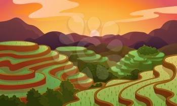 Chinese rice field terraces in mountains landscape. Vector rice or tea plantation on cascades field on mount in China, Vietnam or Philippines with green trees forest trees and sunrise nature scenery