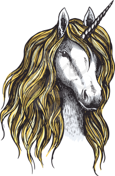 Unicorn horse vector sketch icon. Magic or mystic fairy horse with horn and waving mane. Isolated fantastic unicorn stallion symbol for equine sport or equestrian races contest exhibition