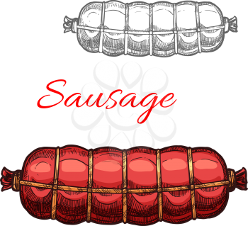 Sausage sketch icon of salami or pepperoni and cervelat meat delicatessen food for butcher shop farm product store. Vector smoked chipolata beef or chorizo pork sausage of gourmet bacon