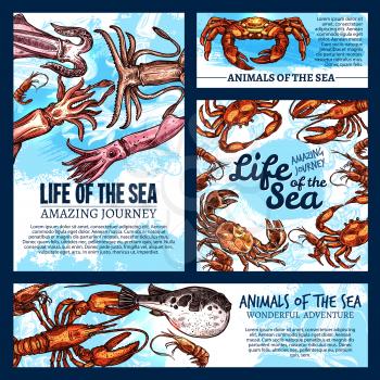 Sea life fishes and animals sketch banners and posters templates. Vector design of mollusk or tropical fishes and crustaceans squid, exotic octopus or lobster crab and shrimp in oceanarium