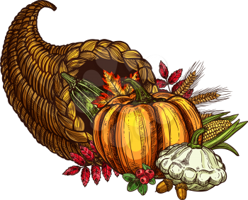 Thanksgiving Day cornucopia and autumn harvest sketch. Vector isolated symbol of seasonal vegetable, fruit and berry food, maple or oak leaf for traditional Thanksgiving holiday greeting card template