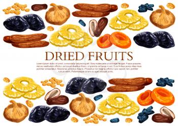 Dried fruits poster template of sweet dry fruit snacks. Vector dried raisins, prunes or apricot and dates in sweet mix of figs, pineapple or cherry and desserts for fruit shop or market