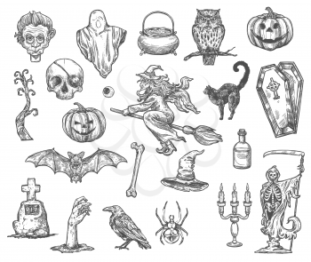 Halloween monsters and symbols vector sketch icons of pumpkin lantern, zombie hand or skeleton skull and death, coffin and tombstone on grave, witch broom and Halloween potion cauldron or black cat