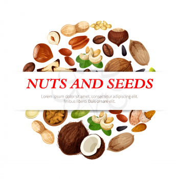 Nuts and fruit seeds or beans poster. Vector peanut, hazelnut or walnut and pistachio kernels, almond nut or legume bean pod and pumpkin or sunflower seeds, coconut and macadamia or filbert nut