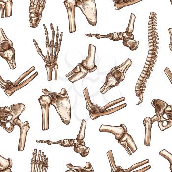 Human joints and body parts bones seamless pattern. Vector sketch spine pelvis, leg knee or shoulder scapula and elbow, arm and hand wrist with fingers or foot ankle for medical anatomy background