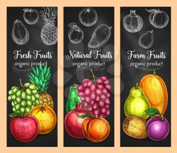 Fresh fruits sketch banners of grape, apple or pear and orange, tropical pineapple or garnet and plum. . Vector farm harvest design of exotic kiwi, mango or papaya, peach or melon and tangerine