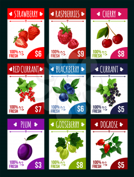 Berry farm market price cards for berries shop or store. Vector set of fresh natural strawberry, garden raspberry or red currant and cherry fruit, forest blackberry or plum and gooseberry and dogrose