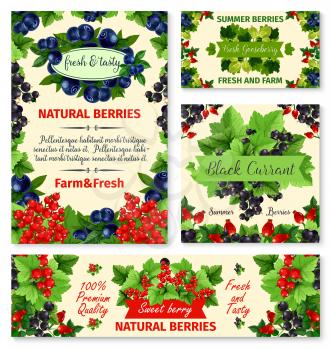 Berry summer fruit banner template set. Blueberry, red currant, blackcurrant, gooseberry and briar vector poster. Garden and wild berry with green leaf frame and badge with ribbon banner, food design