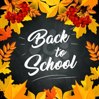 Back to School poster of autumn September leaves foliage of maple, rowan or oak and chestnut yellow leaf on school chalkboard or blackboard background. Vector design for education and study season