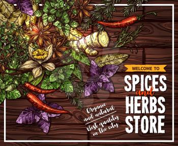 Spice and herb poster of seasoning on wooden background. Rosemary, thyme, chilli pepper and basil, ginger, vanilla and star anise, bay leaf and dill sketches for spice shop welcoming banner design