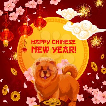 Happy Chinese New Year of Dog greeting card design of Chow dog, hieroglyph greeting text and traditional golden symbols of fireworks and lanterns. Vector Chinese cherry blossom and golden decorations