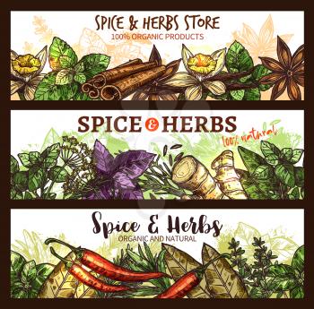 Herbs and spices farm market store banners design template. Vector organic cinnamon, thyme or rosemary and ginger root, basil and chili pepper spice and anise or natural oregano cooking seasonings
