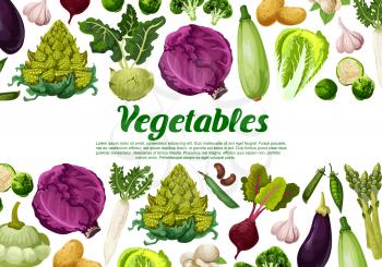 Vegetables and fresh organic veggies for farmer market or vegetarian cafe menu. Vector flat design template of cauliflower or broccoli cabbage, radish or zucchini squash and cucumber and pea beans