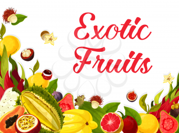Exotic tropical fruits poster of guava, figs or orange and lichee, carambola starfruit or maracuya passion fruit. Vector tropic fruit harvest of and papaya and dragon fruit with mango for market shop