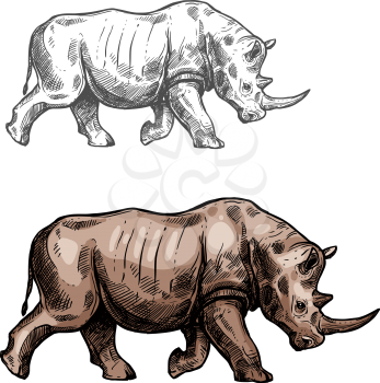 Rhinoceros wild animal sketch vector icon side view. Wild rhino mammal species for wildlife fauna and zoology or hunting sport team trophy symbol and nature zoo adventure club design