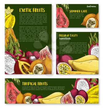 Exotic tropical fruits posters and banners templates for farm market. Vector sketch of guava, durian or papaya and rambutan, dragon fruit or mangosteen and juicy tropic feijoa or lychee fruit