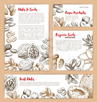 Nuts and fruit seeds or beans sketch poster and banner design. Vector peanut or coconut and hazelnut, pistachio or almond, walnut and macadamia or filbert nut, pumpkin or sunflower seeds and coffee