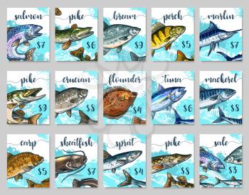 Fish market price cards templates. Vector sketch of sea or ocean fishes salmon, pike or bream and perch or marlin, fisherman catch of flounder, tuna or mackerel and carp with sheatfish for fish shop