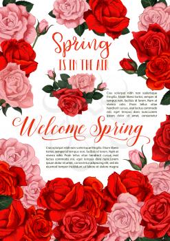 Spring is in Air time poster of red flowers or Hello Spring wish card for seasonal holiday design. Vector springtime blooming garden roses and flourish blossoms bunch with pink blossoms