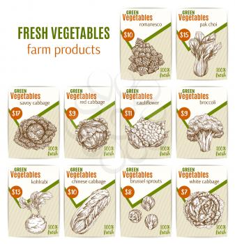 Vegetables sketch price cards for farm shop or veggies market store. Vector farm harvest romanesco salad and brussels sprout or savoy and cauliflower cabbage, broccoli and kohlrabi or vegetarian pak choi lettuce