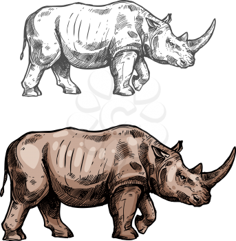 Rhinoceros wild African animal vector sketch icon. Savanna rhino symbol for wildlife fauna and zoology or hunting sport team trophy symbol and nature zoo adventure club design