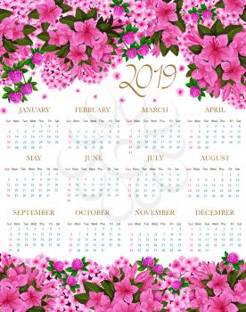 2019 calendar of spring flowers. Vector floral design of blooming garden roses and flourish hibiscus or clover and crocus blossoms for flowery 2019 monthly calendar