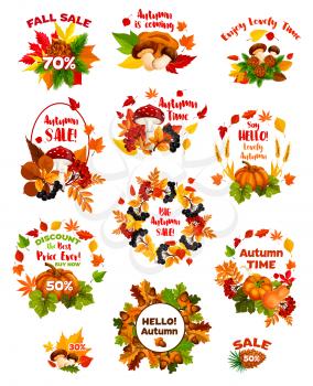 Autumn sale label set of fall harvest vegetable and leaf. Autumn maple foliage, pumpkin vegetable, mushroom, acorn and forest berry branch frame for seasonal sale offer and autumn holiday design