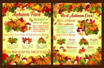 Autumn posters of seasonal fall pumpkin and rowan berry harvest, falling poplar or chestnut leaves foliage and forest amanita or porcini mushrooms. Vector autumn maple leaf and oak acorns