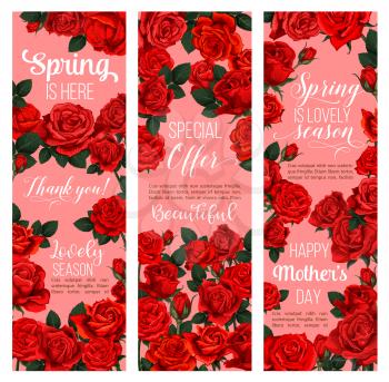 Rose flower festive banner for Spring Season holiday celebration. Red floral bouquet of blooming rose plant and green leaf for Mother Day greeting card or Springtime sale special offer flyer design