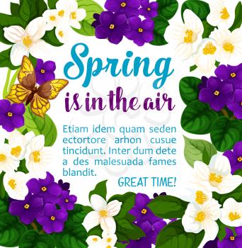 Spring time poster of crocuses flowers for wish card or seasonal holiday greeting design. Vector Spring is in Air quote of springtime blooming garden violas and butterflies on flourish blossoms bunch