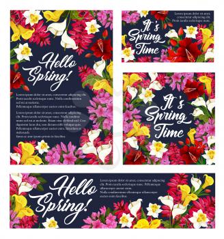 Hello Spring floral posters and greeting cards of blooming springtime flowers. Vector banner with seasonal quotes and blooming lily or daffodils blossoms, hibiscus and spring flourish bunches
