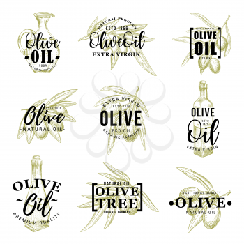 Olive oil icons of green and black olives, extra virgin products in bottles and jugs. Vector organic cooking dressing ingredient of Italian cuisine, leaf and branches silhouettes, signs and lettering
