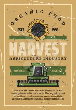 Agriculture industry, harvester or combine and sunflower bud shabby vintage brochure. Vector field, sunflower and machine. Farming theme, autumn harvest