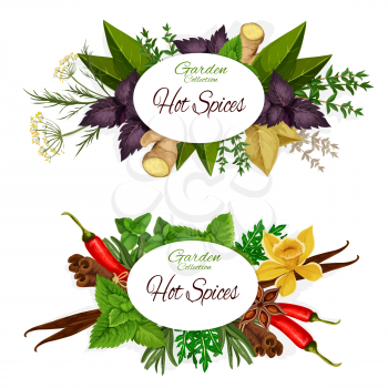 Hot spices icons with herbs and plants around sign. Vector ginger and basil, dill and vanilla, chili pepper and mint, cinnamon and arugula, bay leaf. Seasoning and dressing for salads and dishes